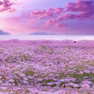 Meet your Posher, Ivonne